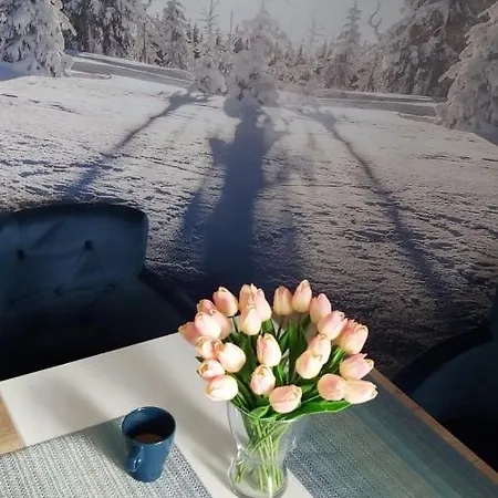 Magic View E16 Apartment *