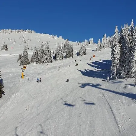 Apartment Magic View E16 Kopaonik