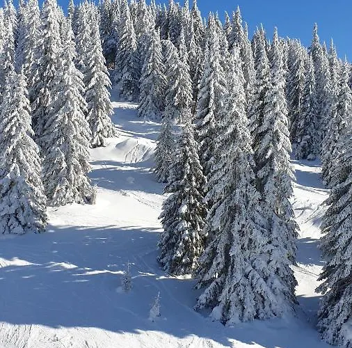 Апартаменты Magic View E16