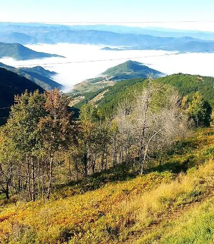 Magic View E16 Копаоник